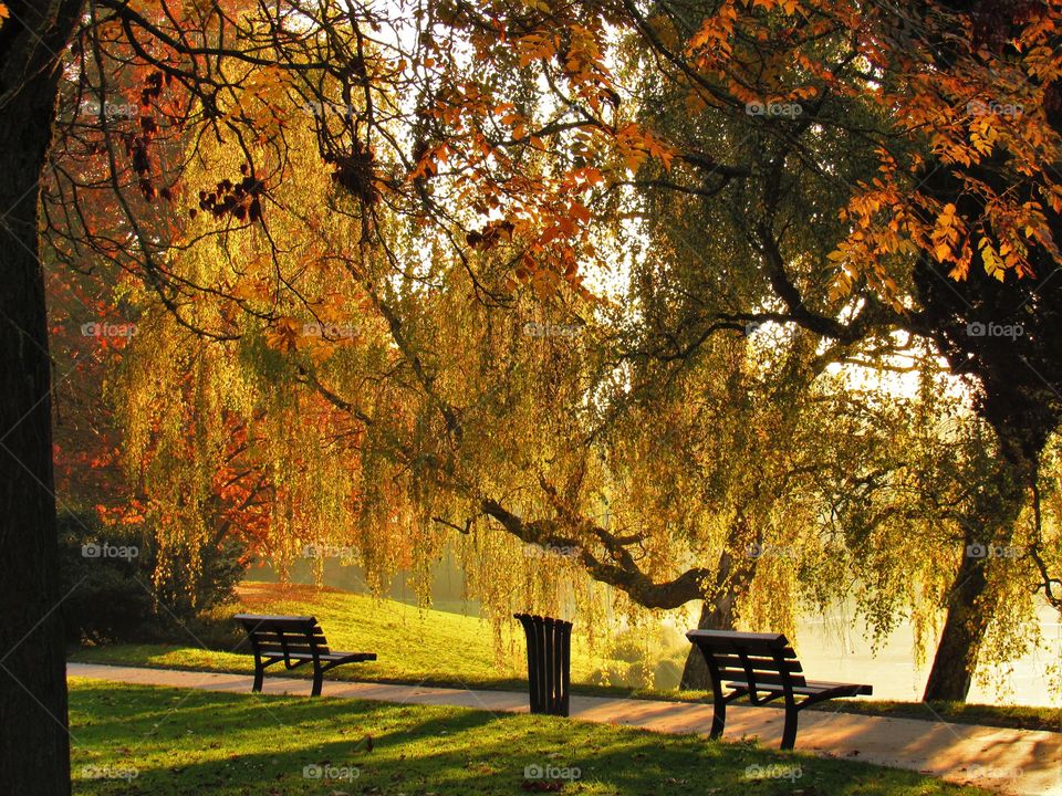 In the park