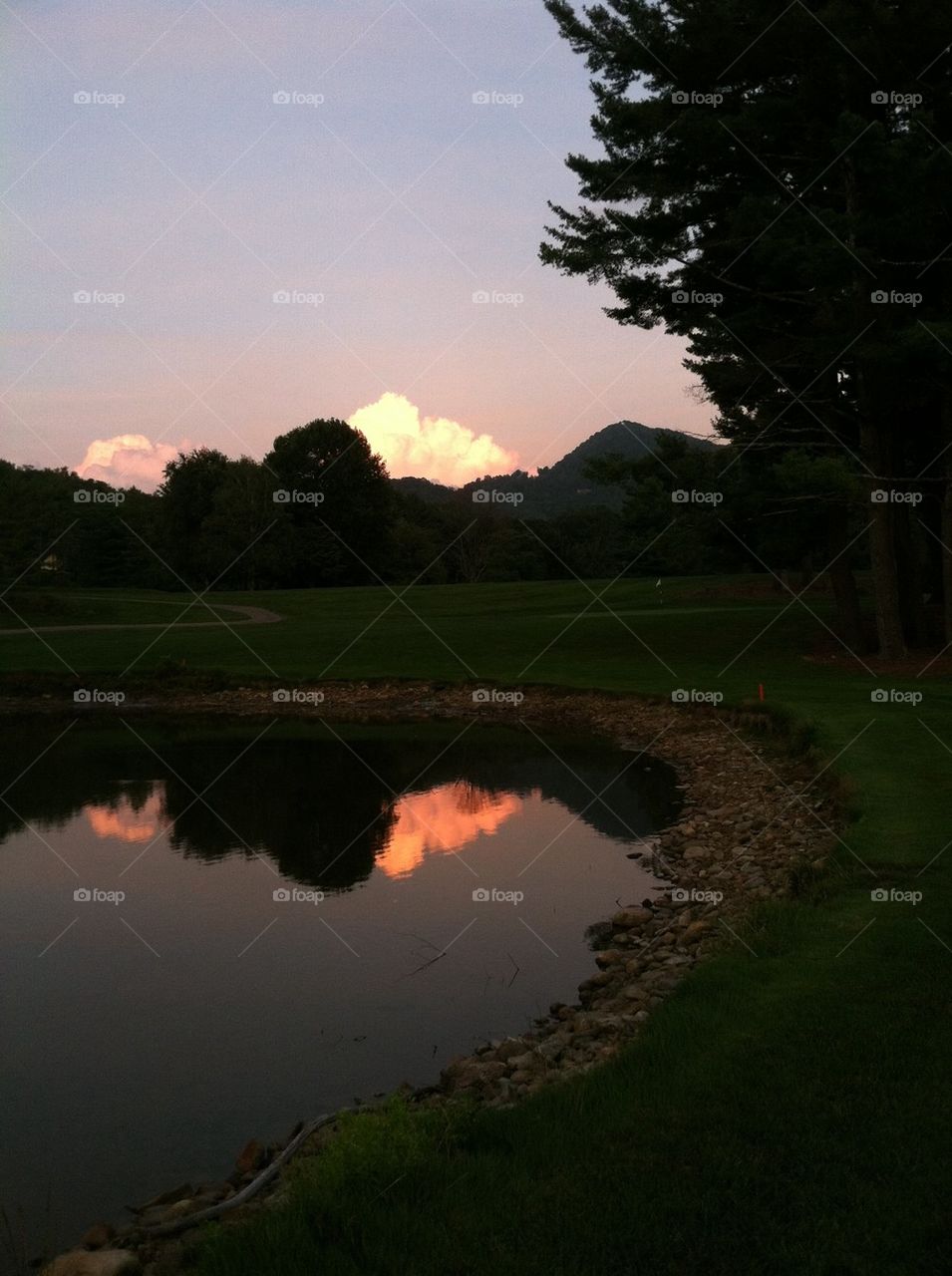 Pink Cloud Reflection