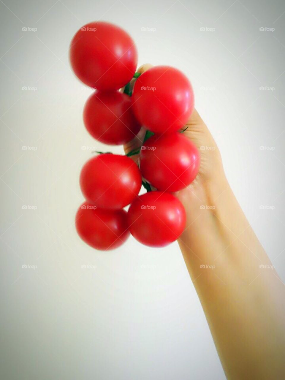 Hand holding Vine tomatoes