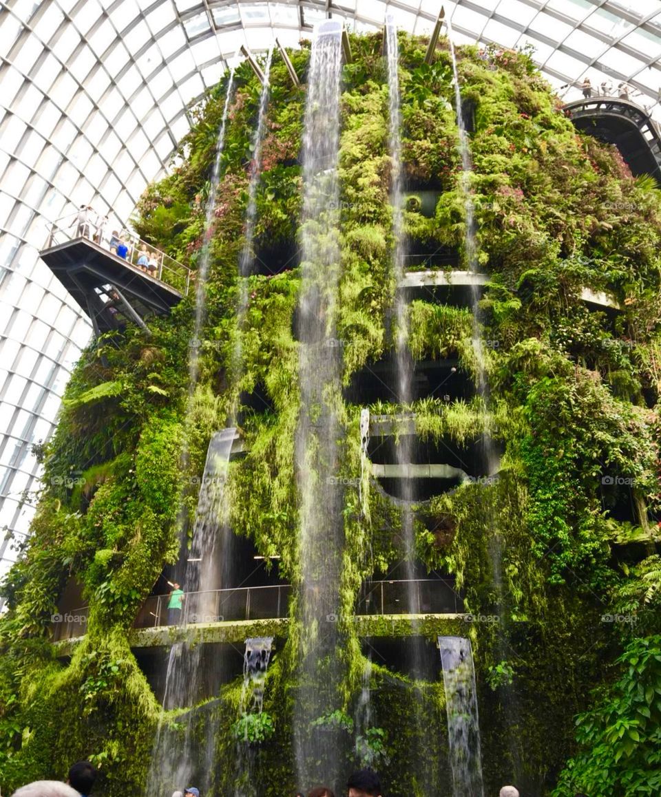 Cloud Forest, Gardens By the Bay in Singapore