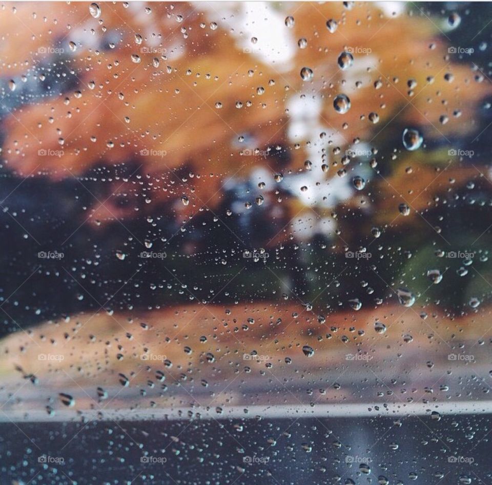 The rain drops on my window