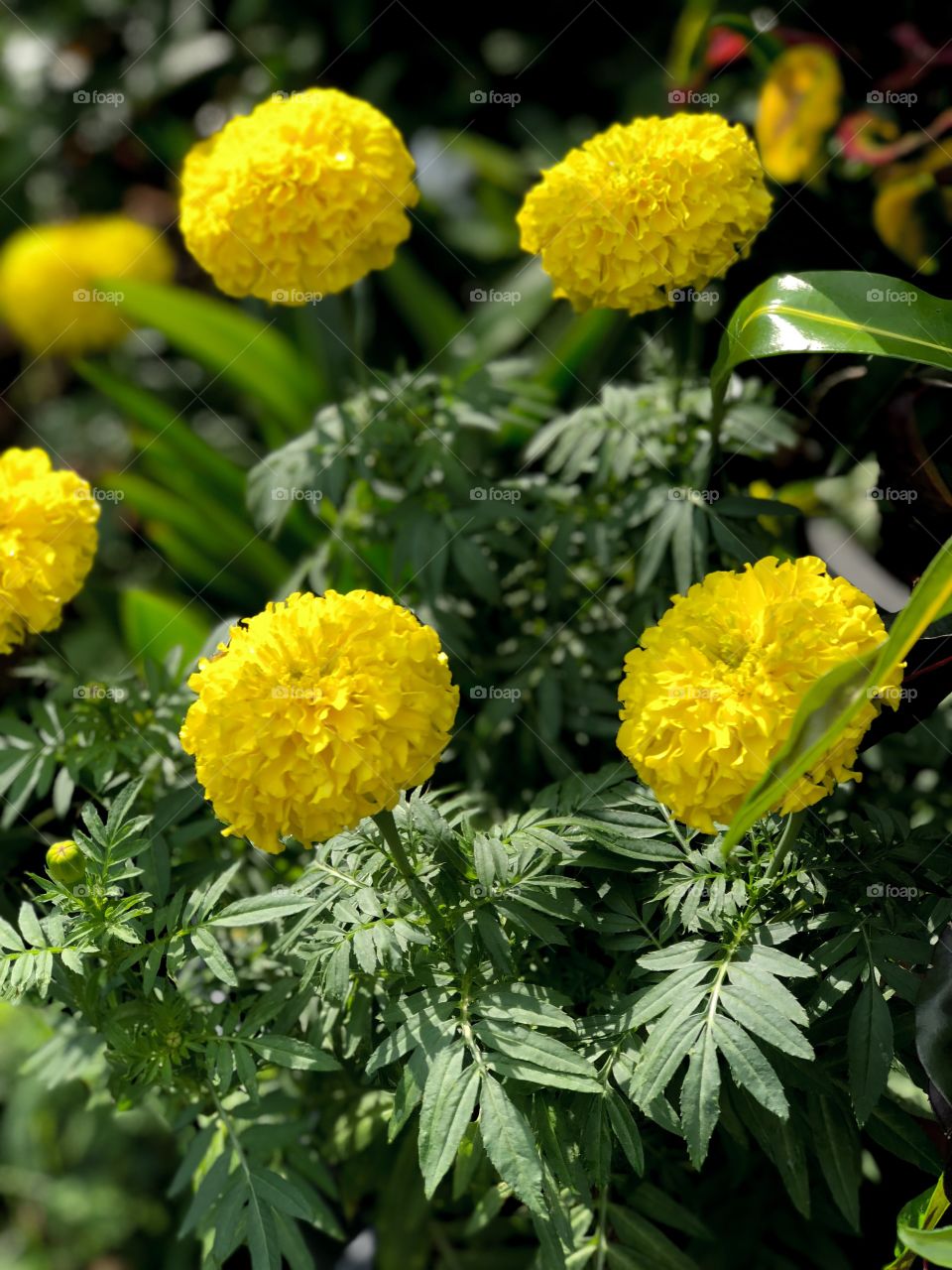 No matter how much it hurts, you have to hold your head up and keep going.