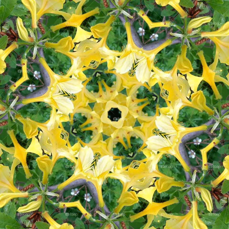 yellow flowers mandala 4