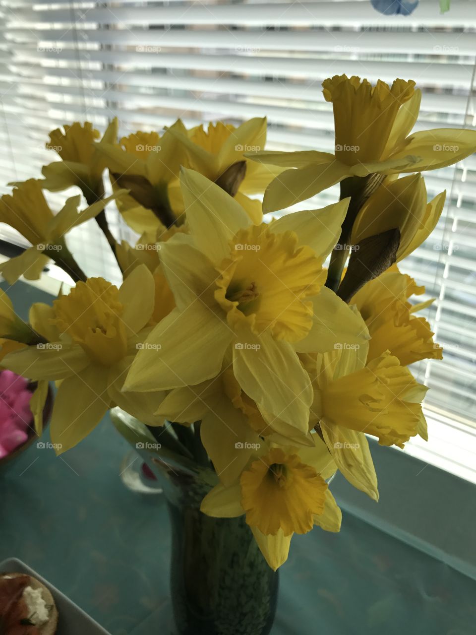 Easter daffodils 