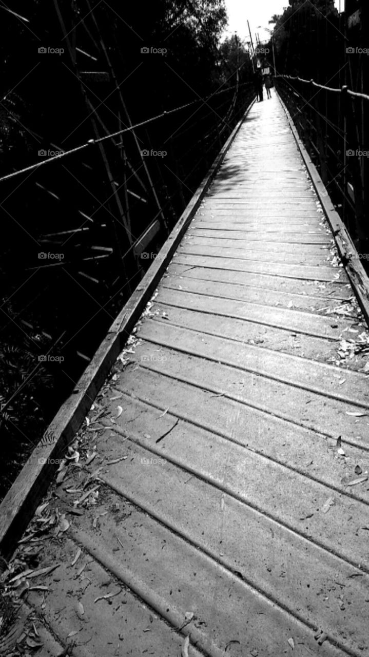 One day trip to San Diego 8.1.16 Spruce St. Bridge