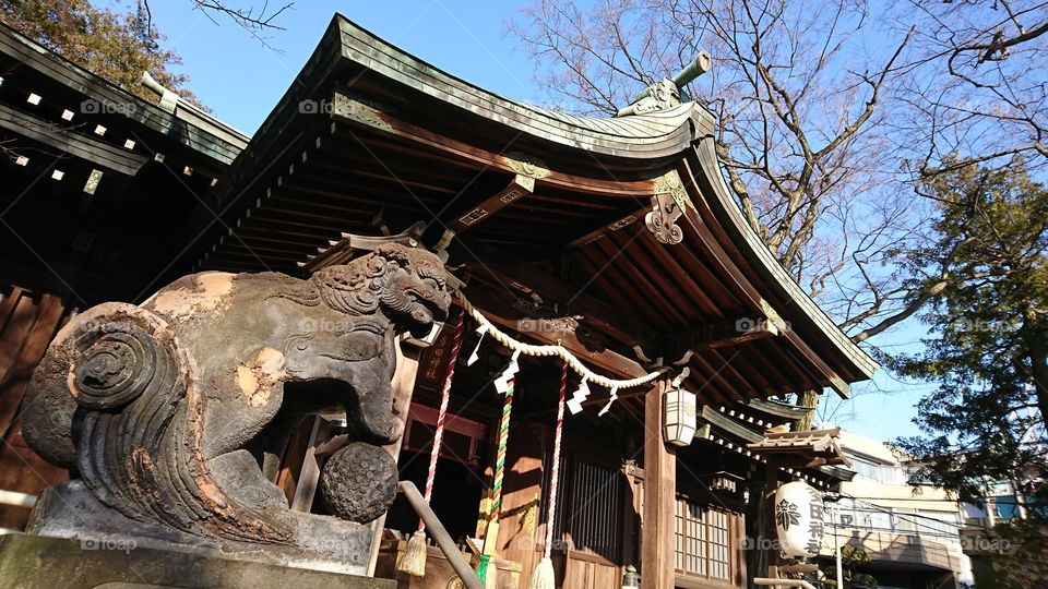 Tada shrine with lion statue