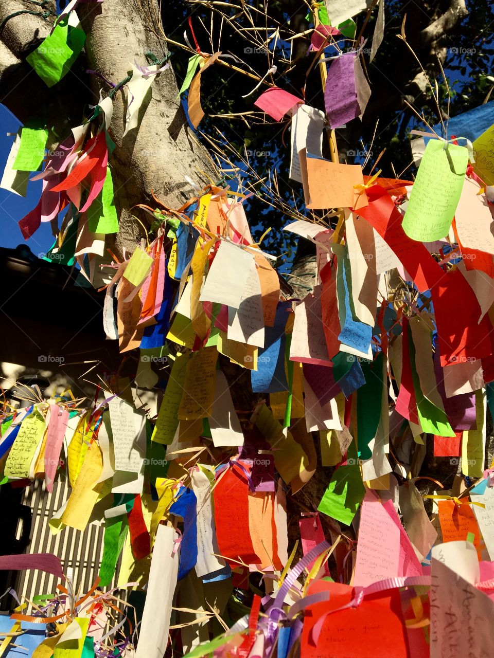 Wishes written on colorful slips of paper hang from the Wishing Tree. Japanese Village Plaza, Little Tokyo district of Los Angeles, California.