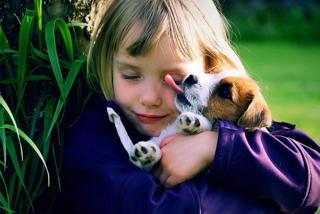 Girl and a puppy