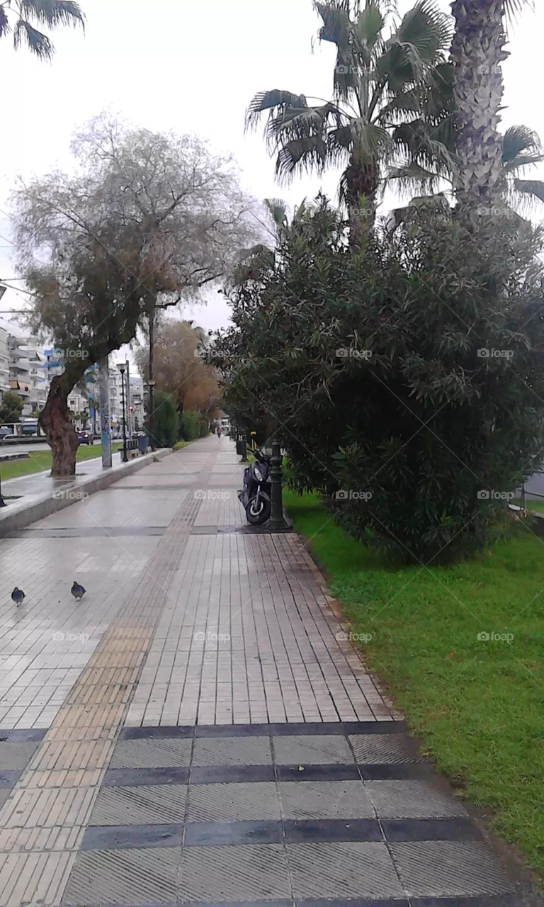 Athens
