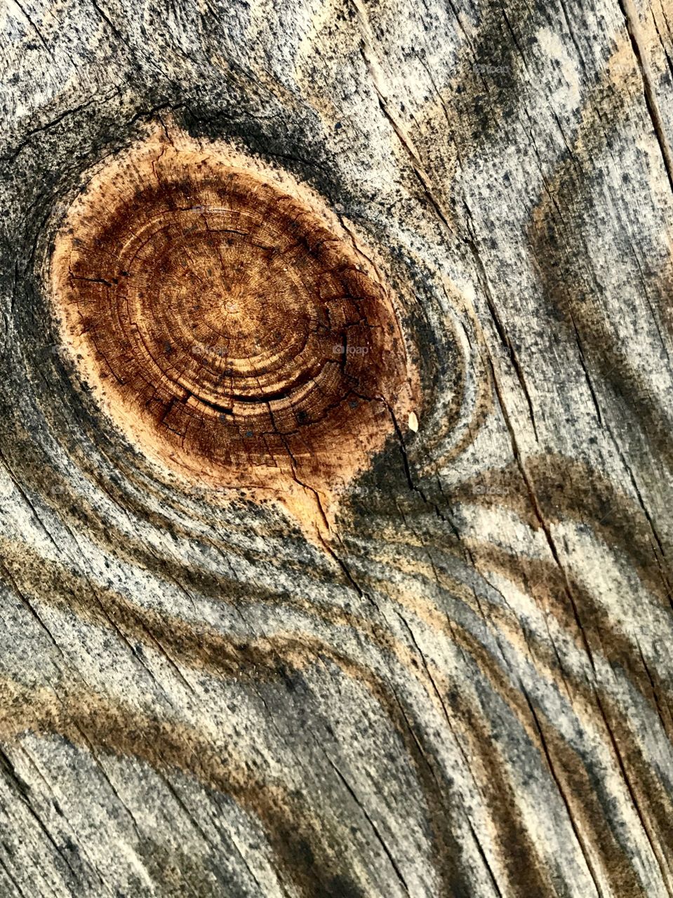 Wood Knot Close-Up
