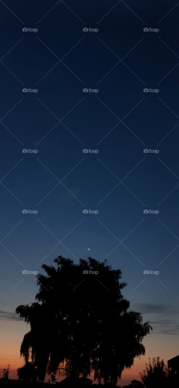 Morning sunrise with the small crescent moon present