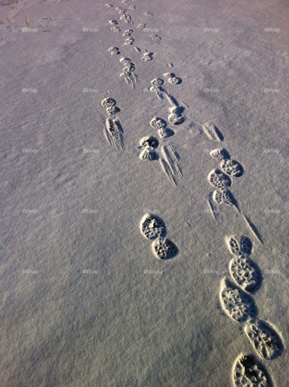 snow winter ice shadows by haq