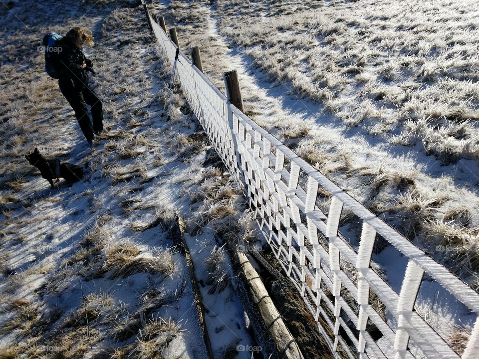 Fence with a frost