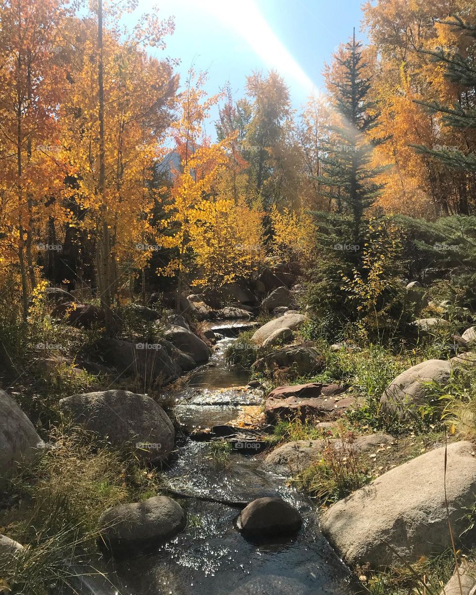 Fall in Colorado