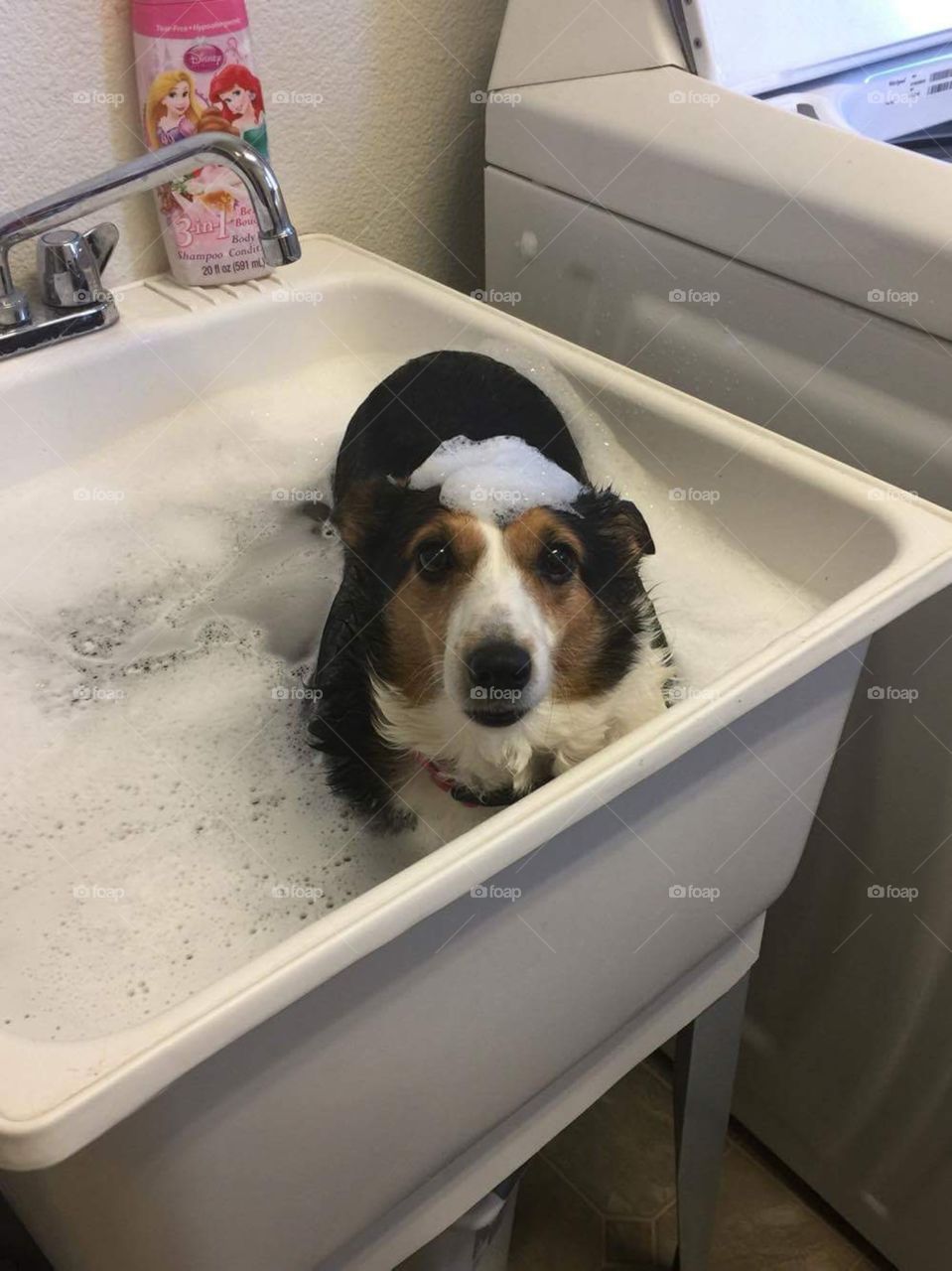 Bath time