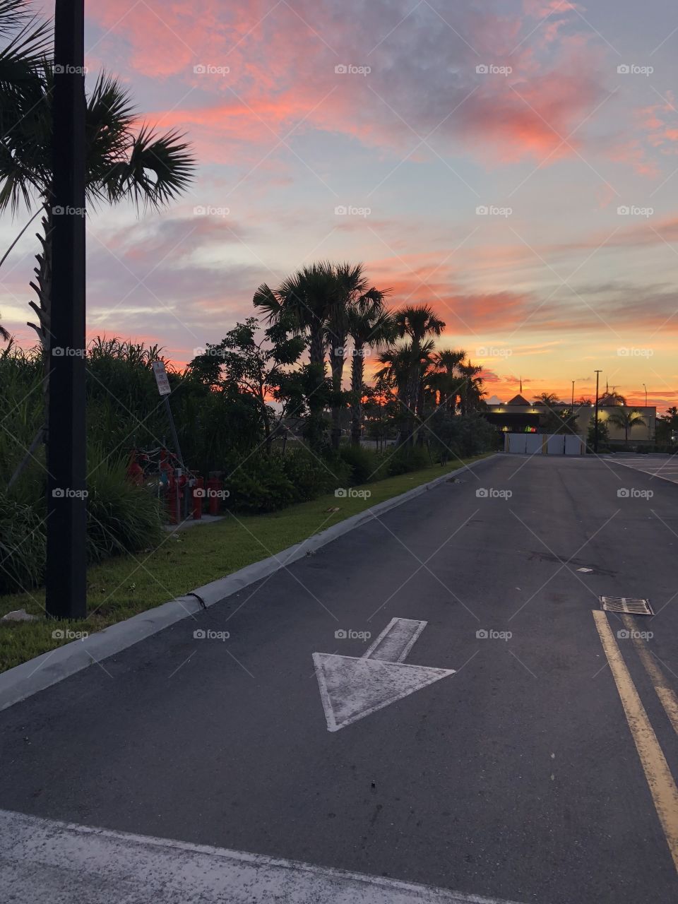 Best of Florida - Palms, Beach & Sundown.