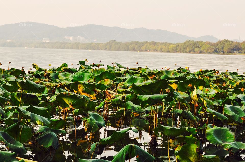 Lake in China 