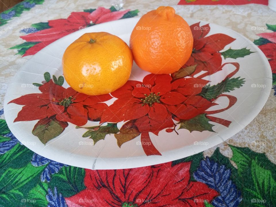 Christmas Tangerine & Clementine