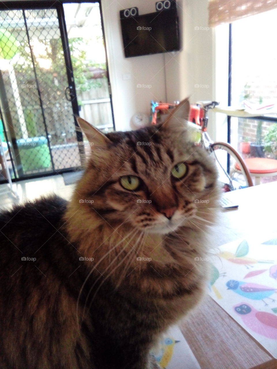 Just chilling out in the morning