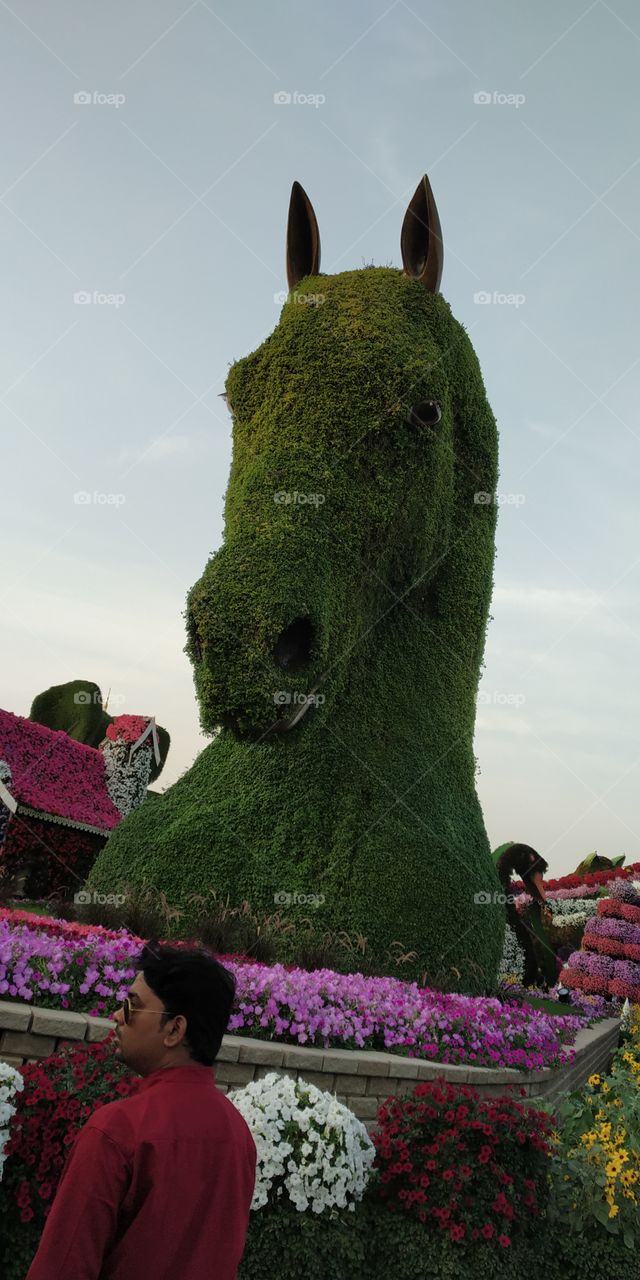 editors' choice: photo of the week