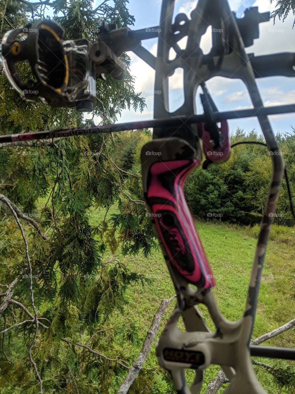 Hoyt Pink Bow and Arrow