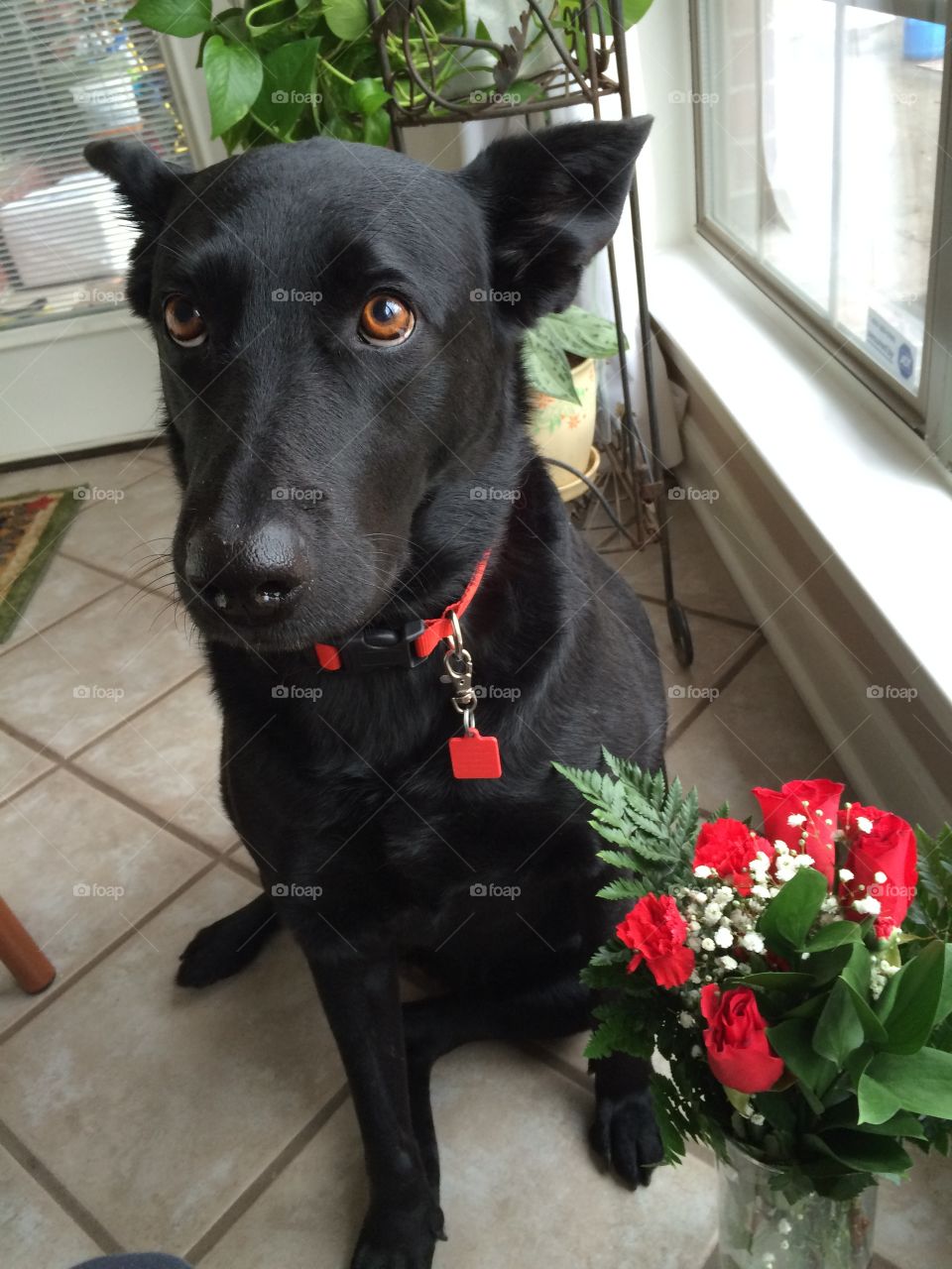 Leesa!. Leesa with a Christmas Bouquet