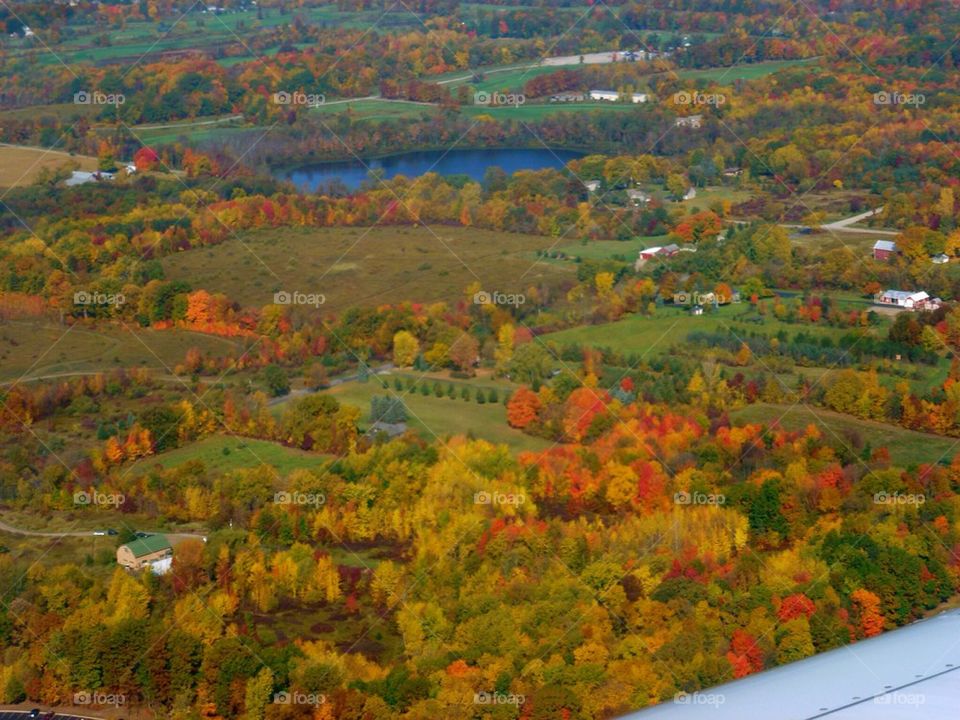 Fall colors from the plane. 