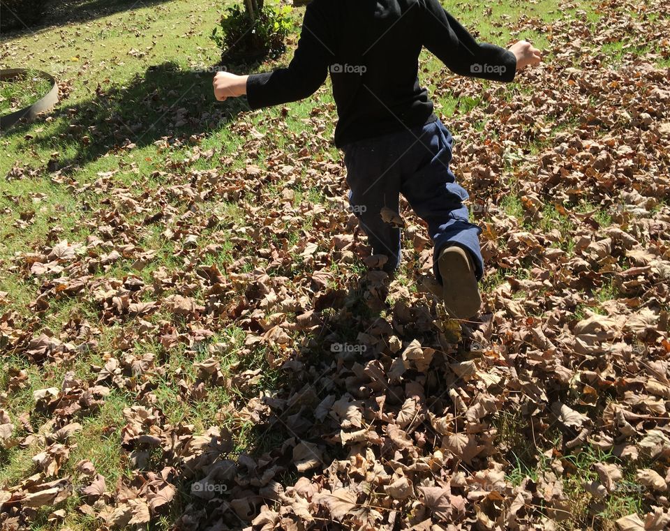 Frolicking in the Fall leaves