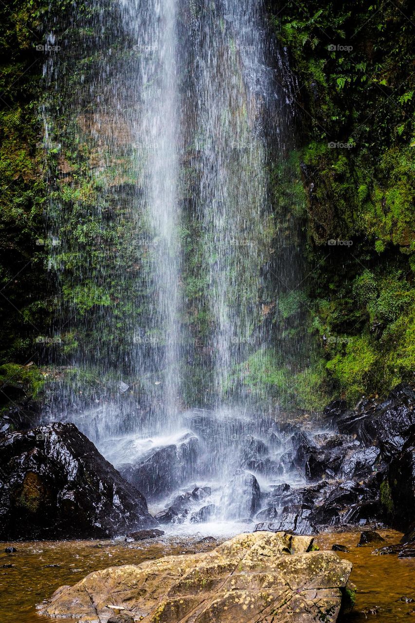 Waterfall detail in the forest