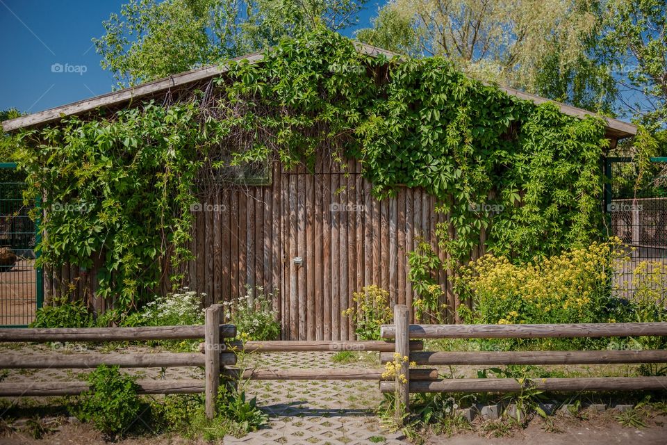 House, Wood, Fence, Family, Garden