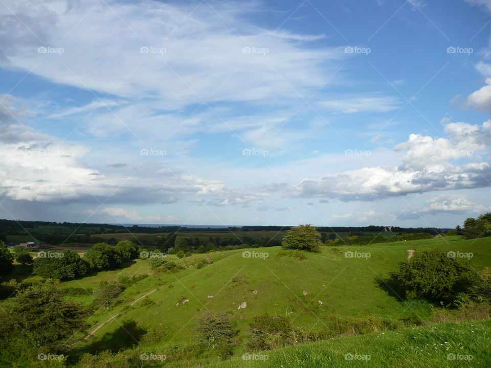 Green nature view 