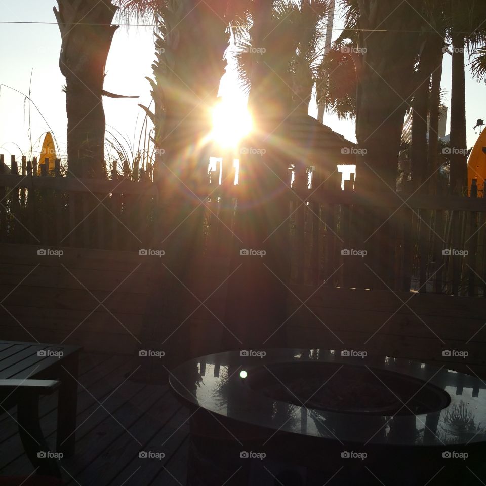 Sunset Between the Palms