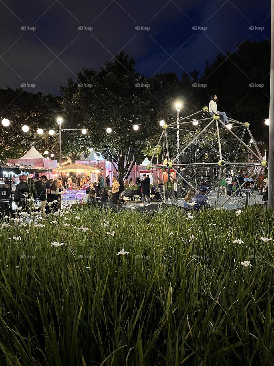 Crowded park at night