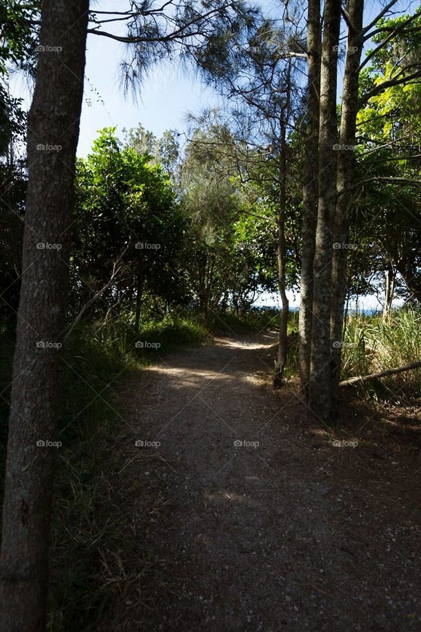 Beach pathway