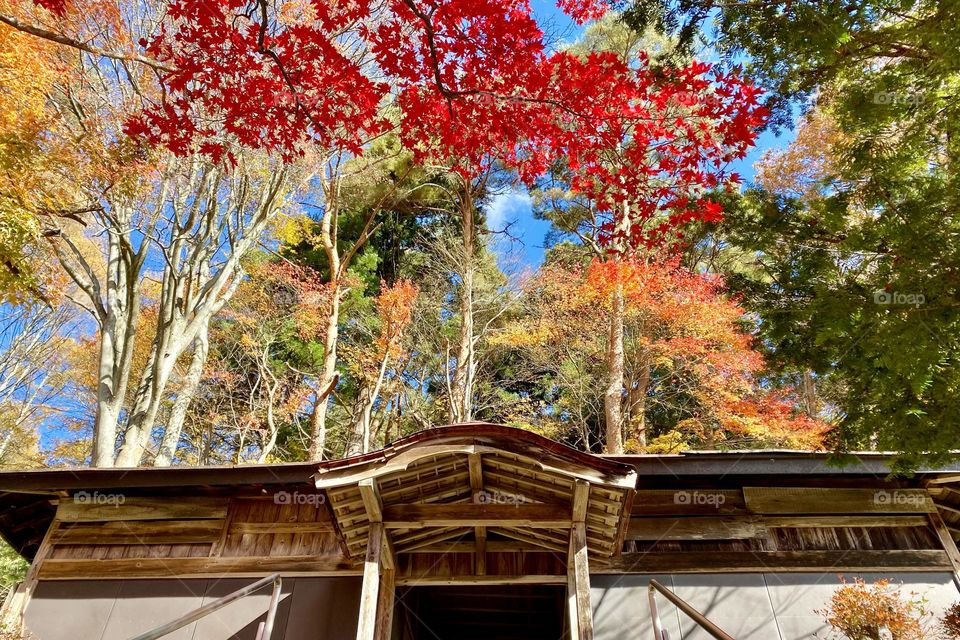 A gate of a shrine on slope