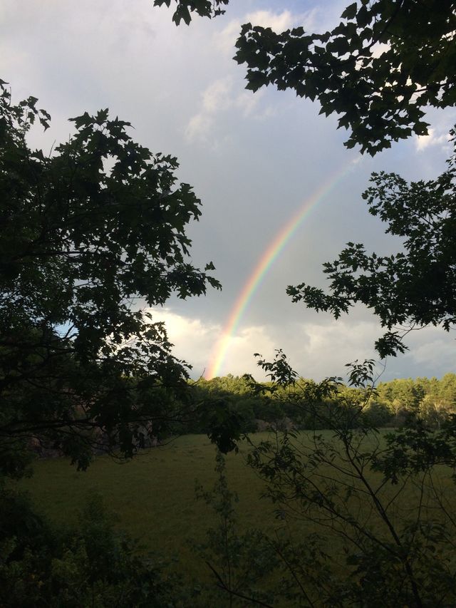 Rainbow