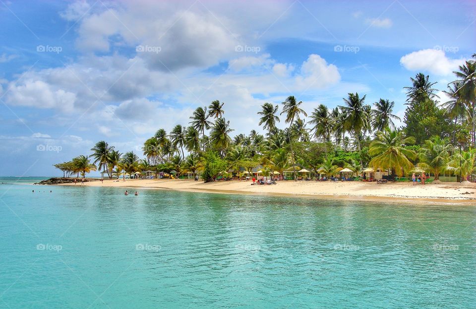 Pigeon Point Tobago