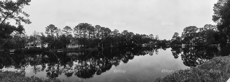 Reflections in black and white 