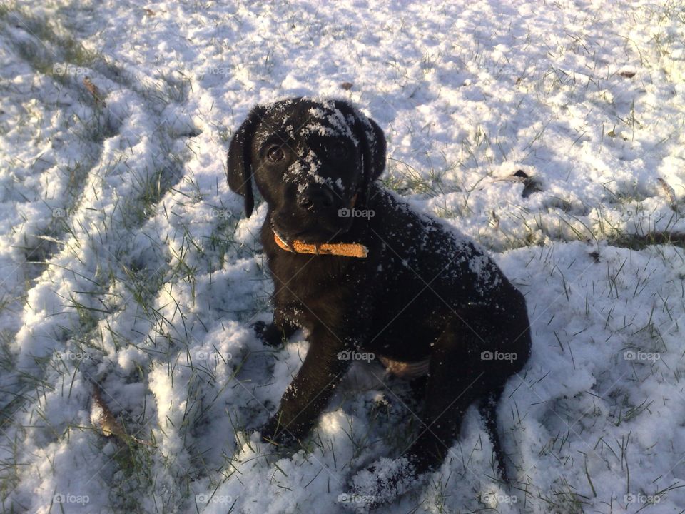 Riley's first snow play