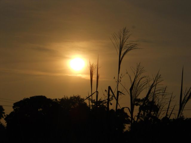 golden sunset
