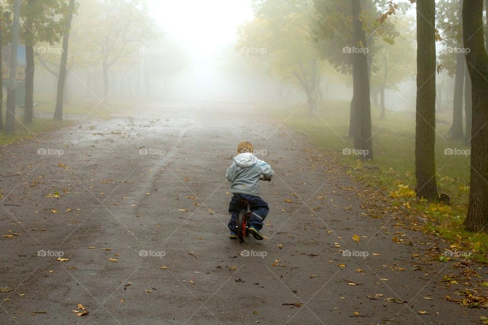 fog in the autumn morning