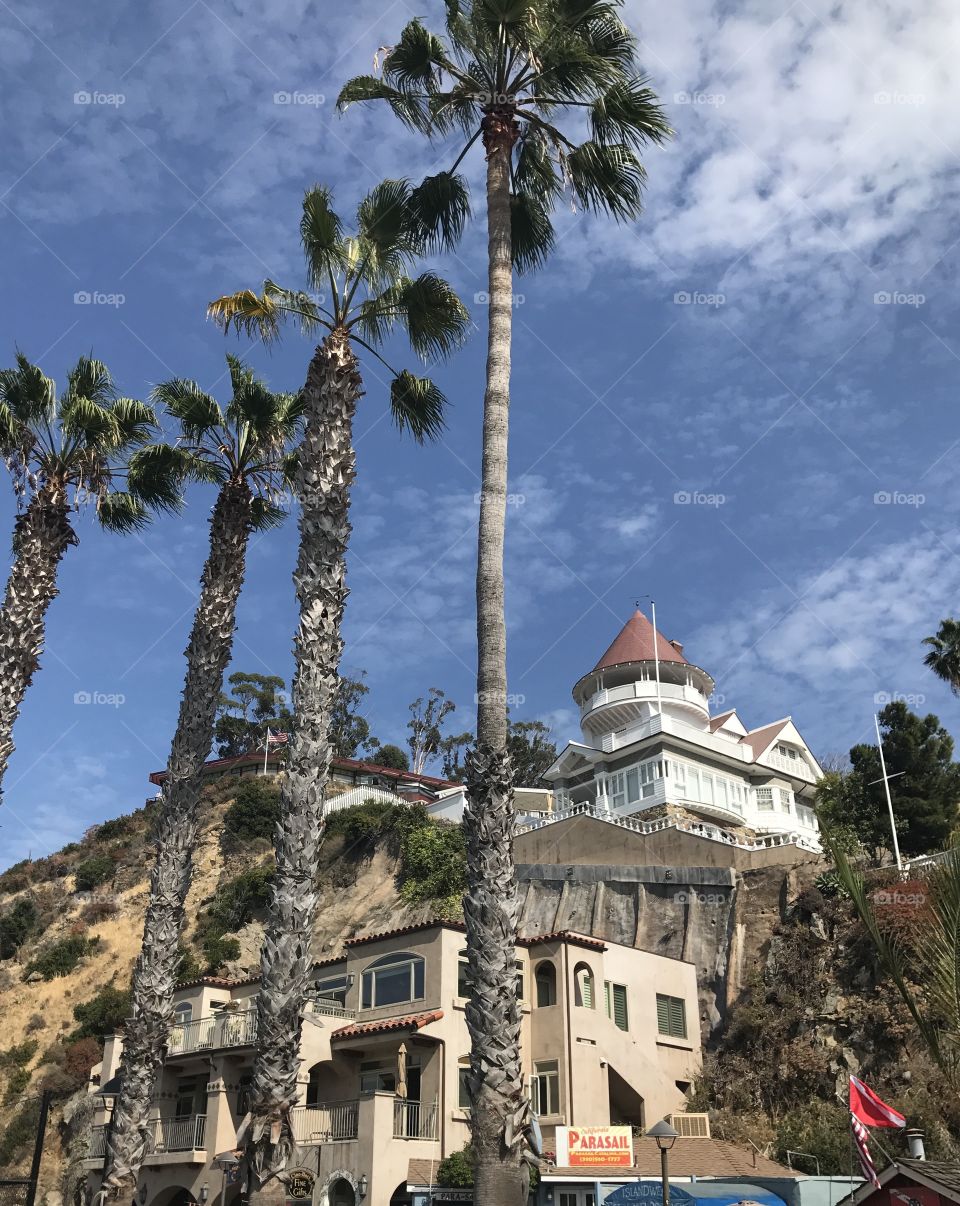 Million dollar homes on Catalina island 