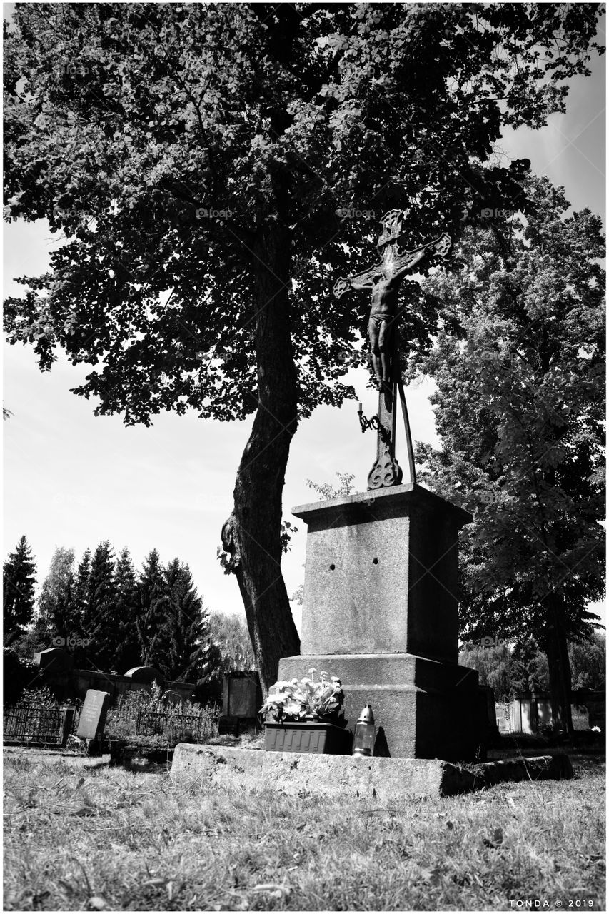 Old cemetery in the Czech Republic Jizera Mountains - Isergebirge - Góry Izerskie 