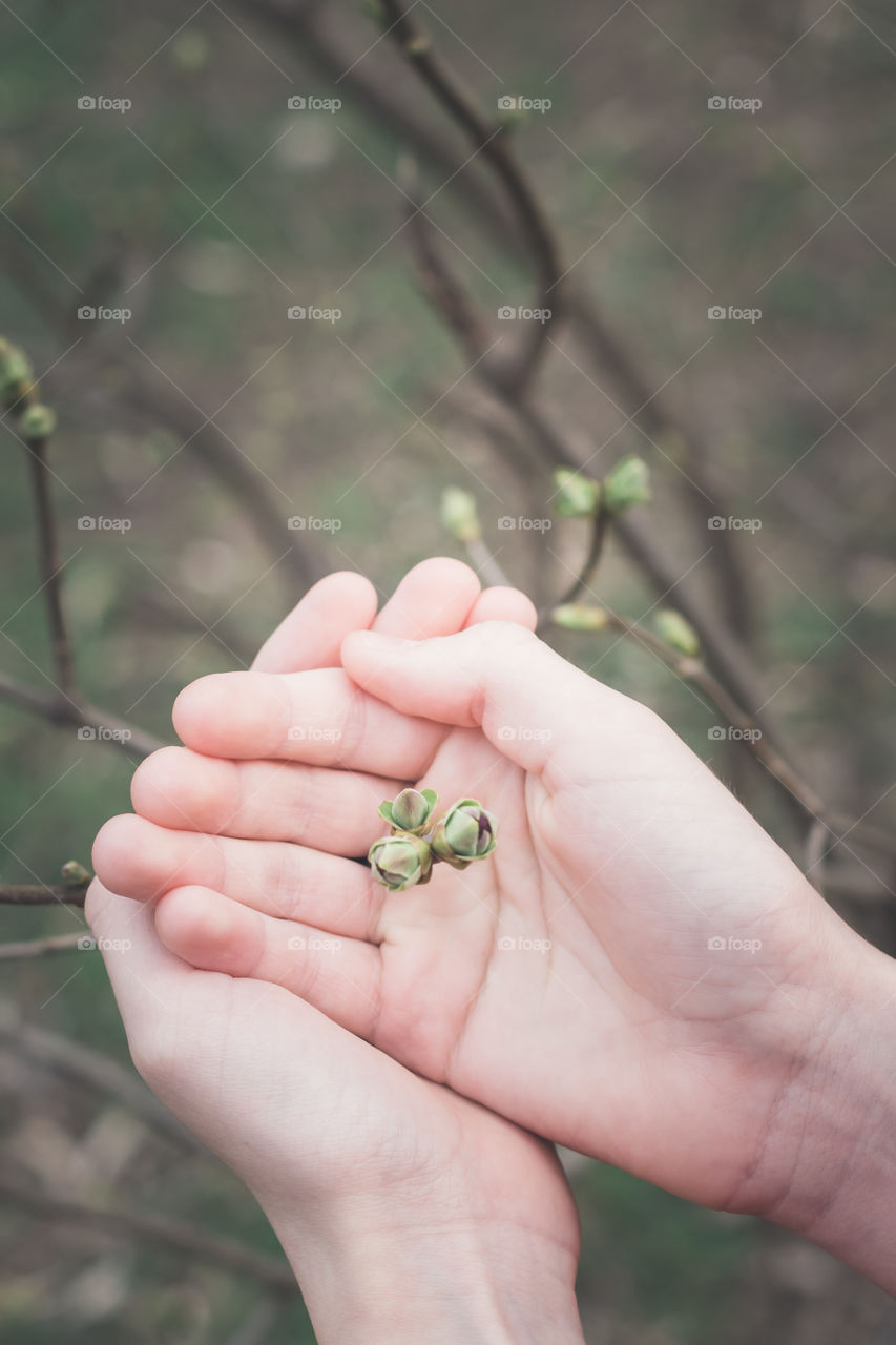 Little new leaves on the palm of person. Concept of protection and preserve of environment.