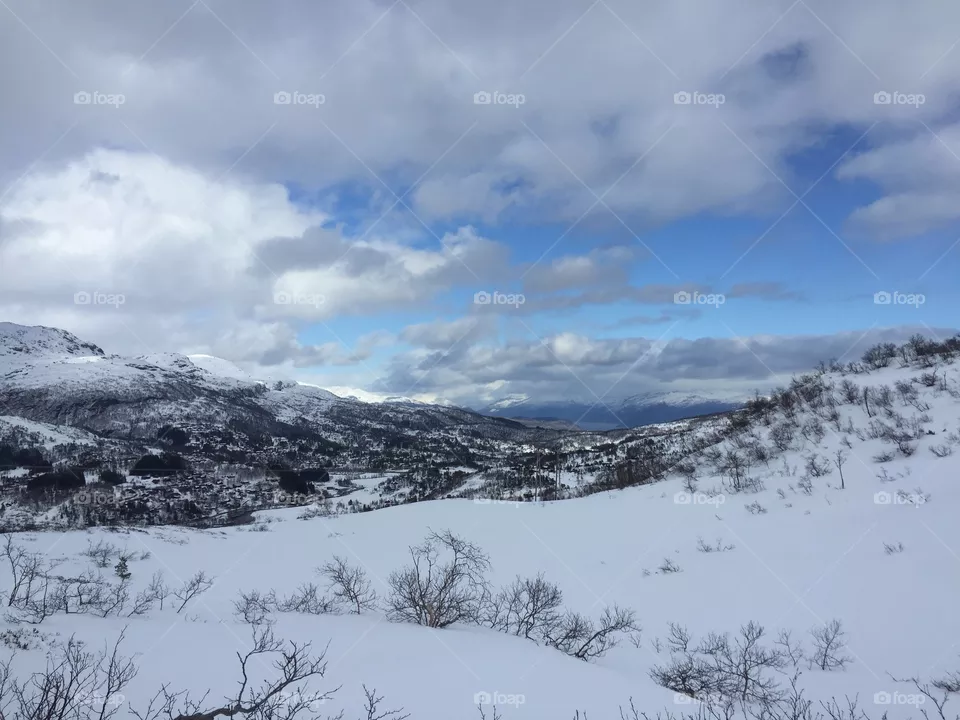 Winterscenery