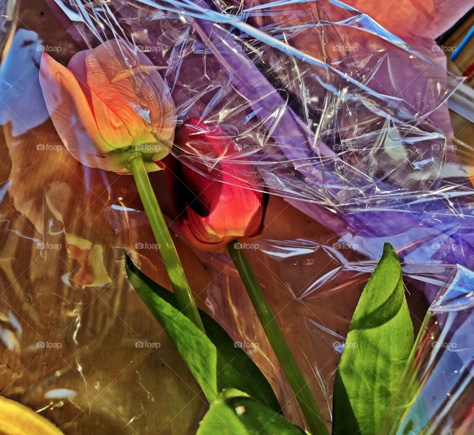 Wrapped Flowers
