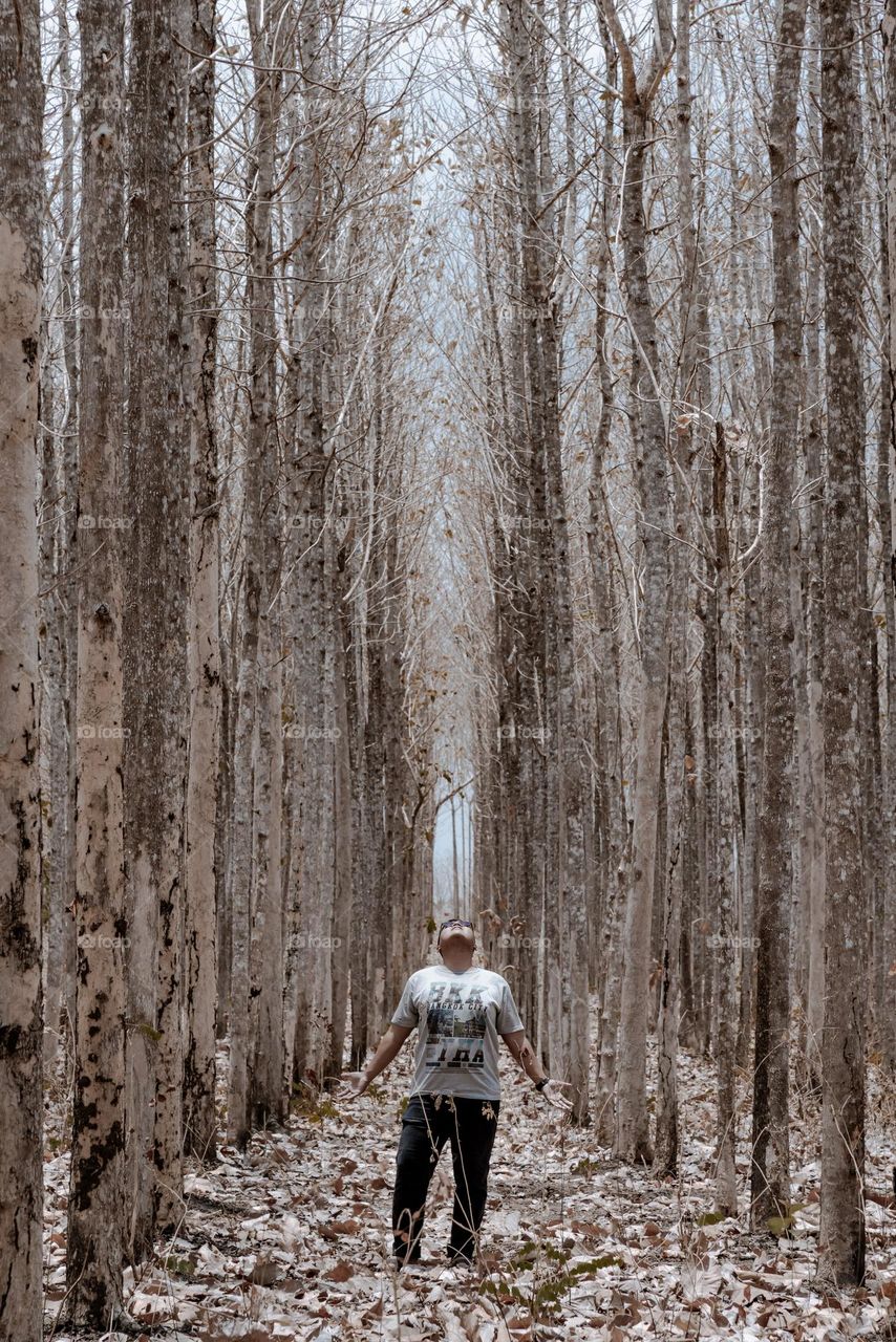A man stand in a middle of the forest that facing fall to winter season