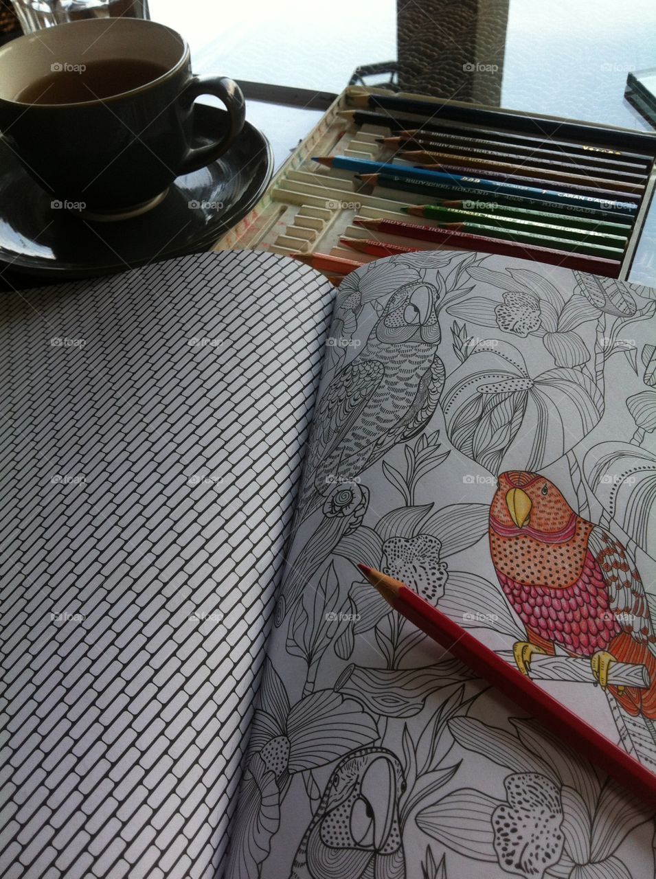 Colouring with a cup of tea