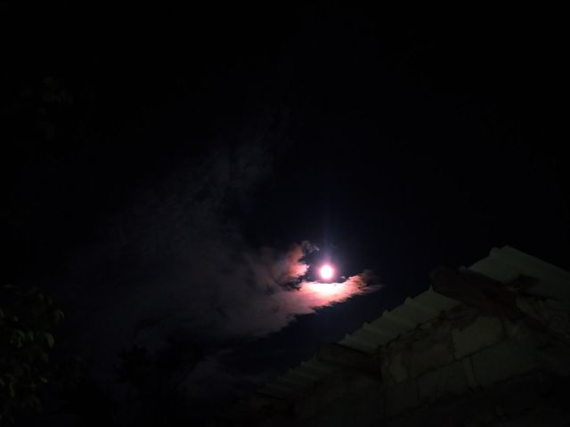 moonlight