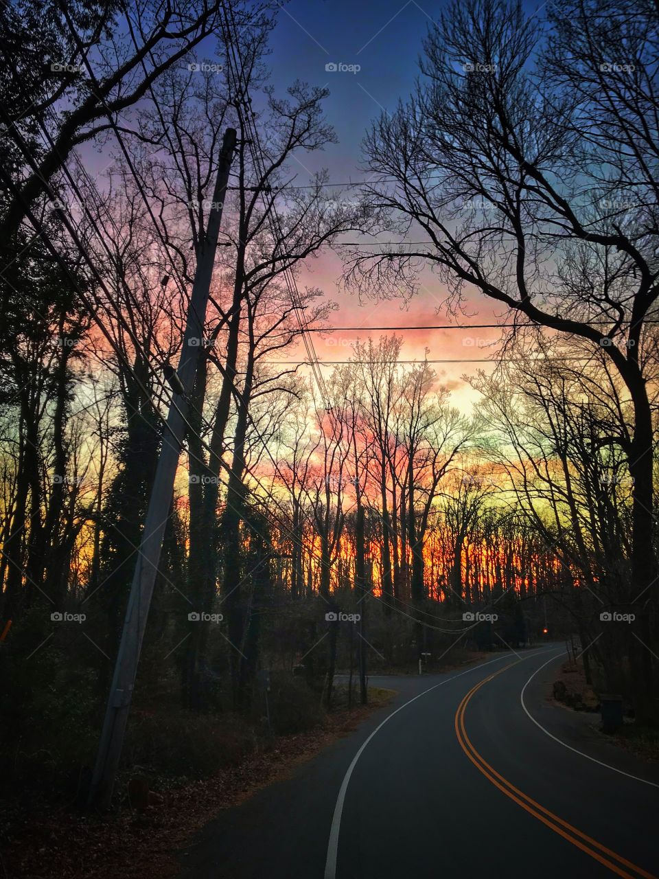 A road into the sunset... December sunset on the US East coast.... winter, dormant trees and clear sky